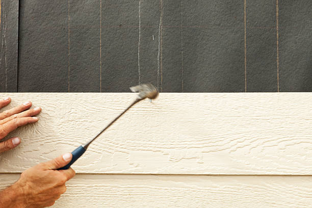 Best Vinyl Siding Installation  in Woburn, MA